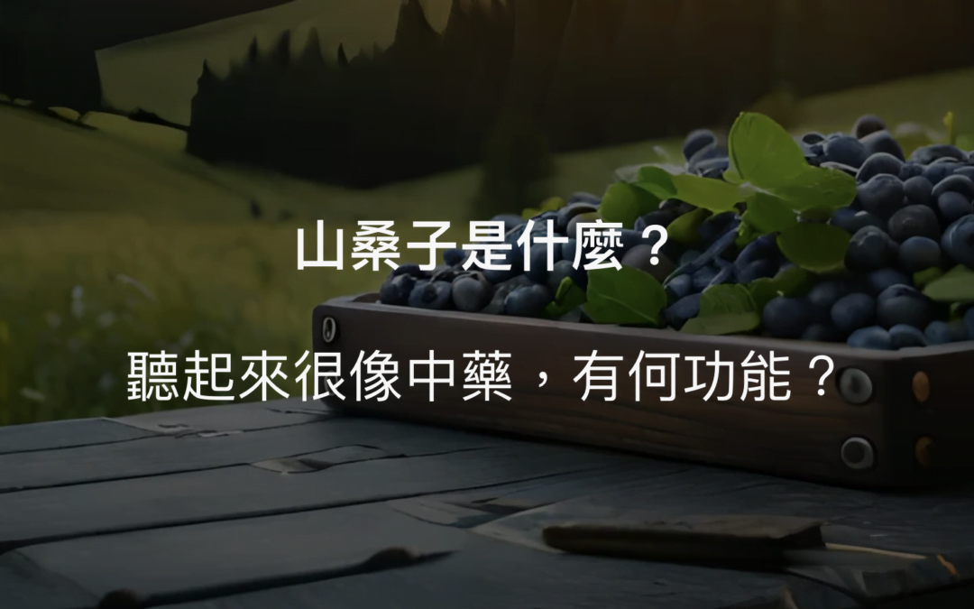 山桑子是藍莓嗎？2個另類的山桑子功效
