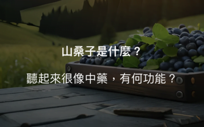 山桑子是藍莓嗎?2個另類的山桑子功效