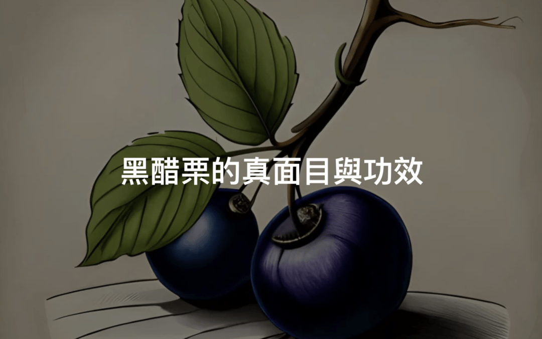 黑醋栗功效為何？黑醋栗2種英文讓人好奇到底是多黑！