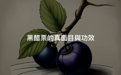 黑醋栗功效為何？黑醋栗2種英文讓人好奇到底是多黑！