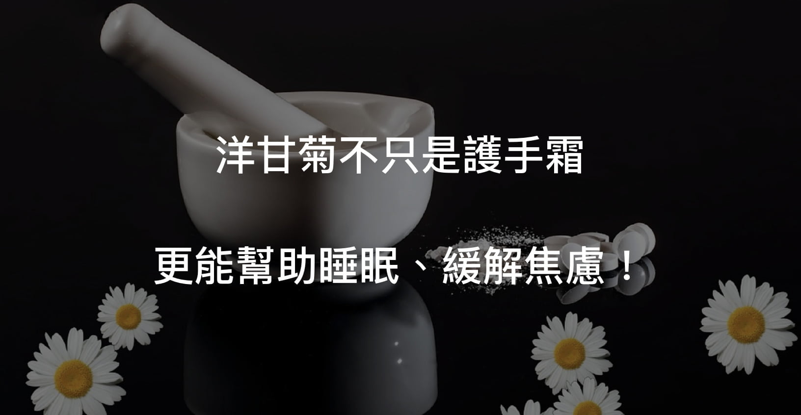 洋甘菊不只是護手霜,更是能幫助睡眠品質的多功能植物喔~一起來了解洋甘菊助眠的原理吧!