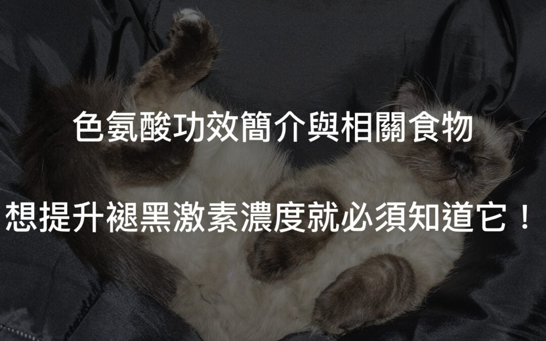 色氨酸是什麼？功效為何？睡眠的根基就是他