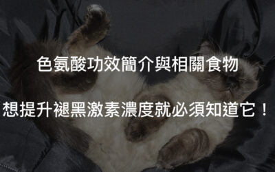 色氨酸是什麼？功效為何？睡眠的根基就是他