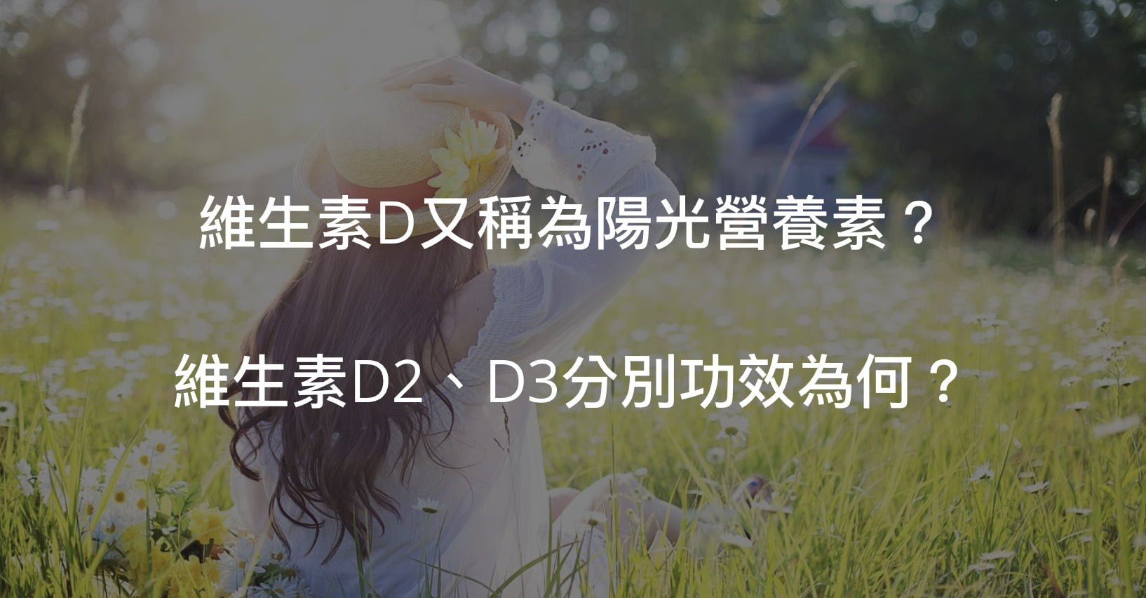 維生素D與D3的功效關係是什麼?要怎樣才可以補充維生素D?