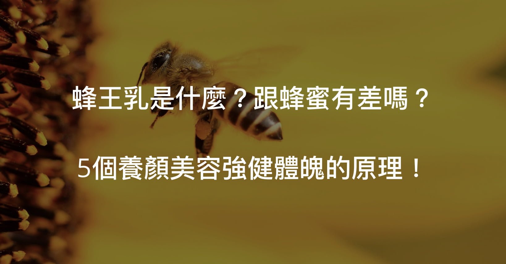蜂王乳蜂蜜雖然不一樣，但是都有助身體新陳代謝、強健免疫系統喔