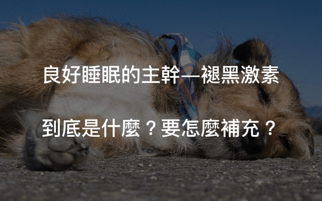 睡眠主導者 — 褪黑激素是什麼？可以長期吃嗎？