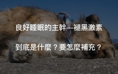 睡眠主導者 — 褪黑激素是什麼？可以長期吃嗎？