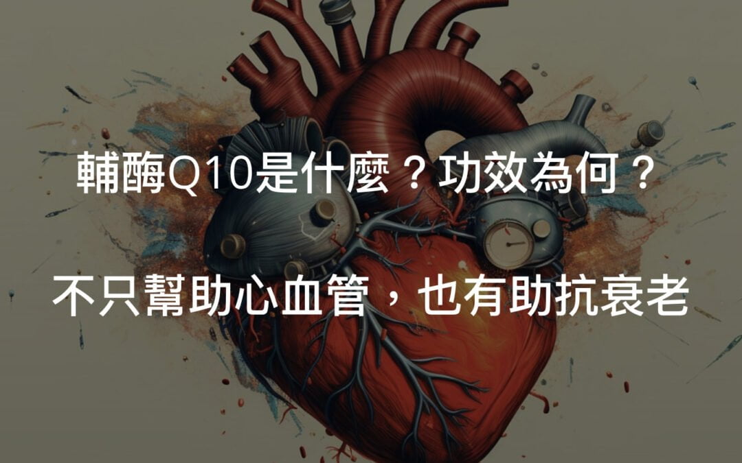 Q10是什麼？皮膚、心血管功效一次解說