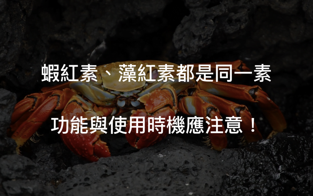 蝦紅素功效為何?藻紅素又是什麼?
