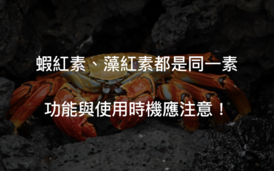 蝦紅素功效為何?藻紅素又是什麼?