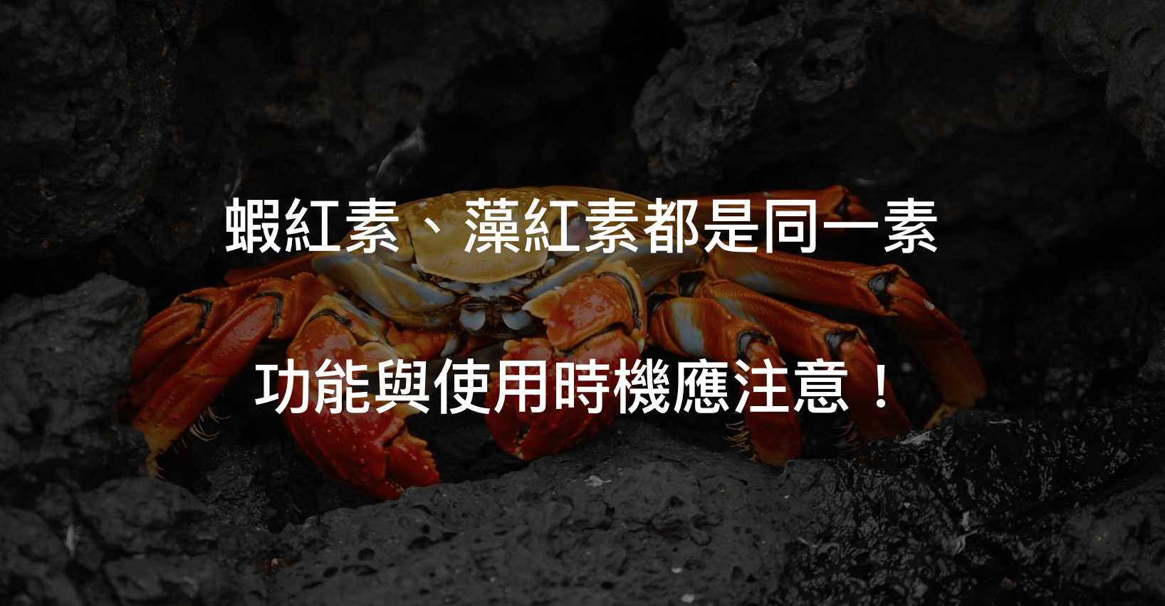 蝦紅素功效跟應用很多，繼續了解下去吧！