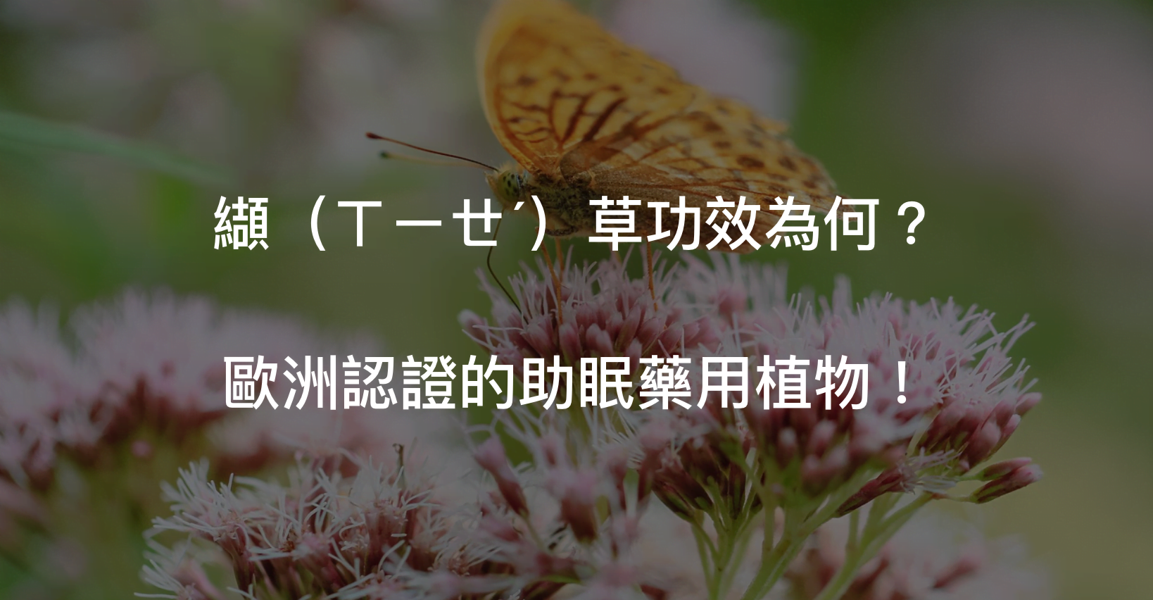 纈草不只外觀賞心悅目，功效方面也不容小覷，可是受到歐洲藥品管理局認證的喔