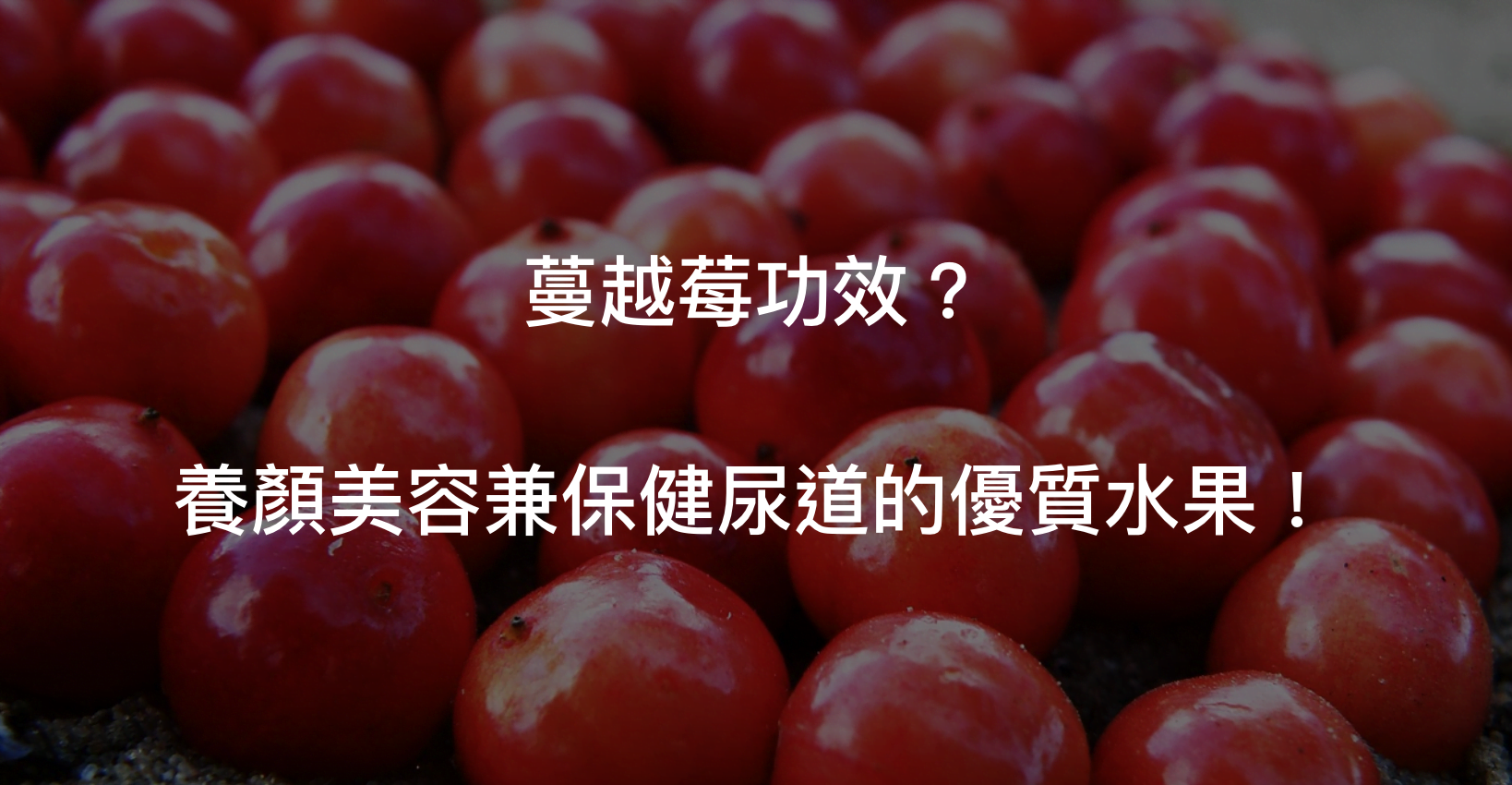 蔓越莓主要用於女性泌尿道感染之預防，但也有其他功能喔！