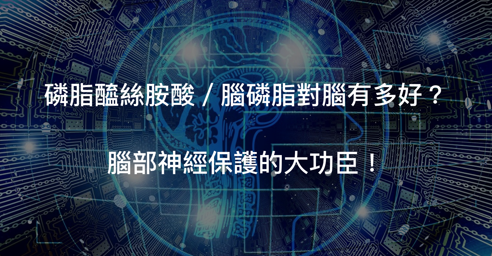 關於磷脂醯絲胺酸／腦磷脂一切你所應該知道的事