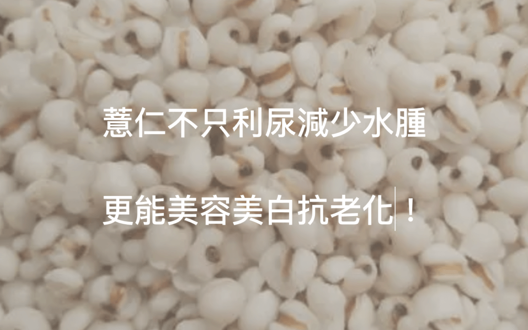 薏仁的功效是美麗的大家重視的美白淡斑抗老化!另外呢?