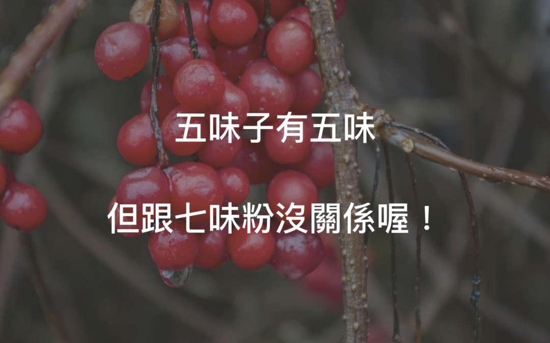 五味子功效?可不是七味粉那樣的食物配料喔!