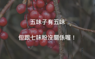 五味子功效?可不是七味粉那樣的食物配料喔!