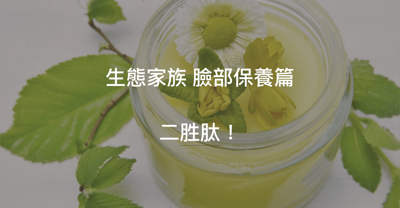 二胜肽的功效就如其他胜肽家族相同，可用於臉部保養
