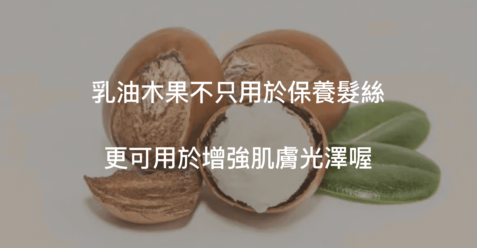 乳油木果功效在於其保濕鎖水的強度