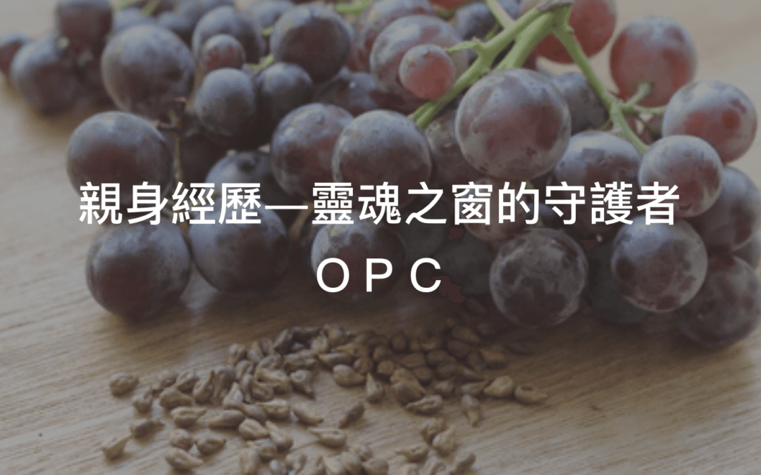 OPC/葡萄籽萃取物的功效與起源